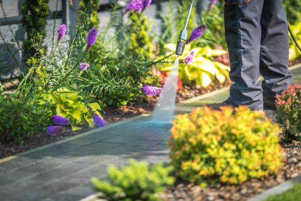 Professional Pressure Washing in Shandon, CA