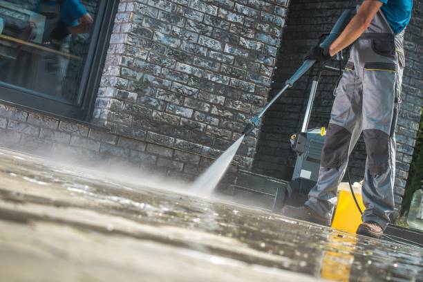 Best Animal Enclosure Cleaning  in Shandon, CA