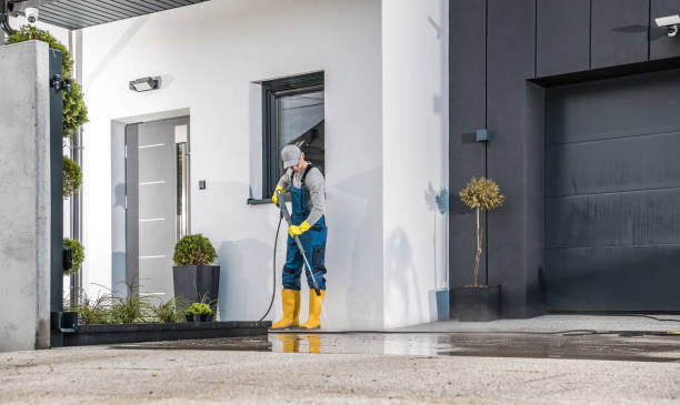 Best Dumpster Area Cleaning  in Shandon, CA